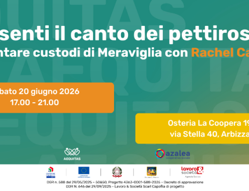 LO SENTI IL CANTO DEI PETTIROSSI?